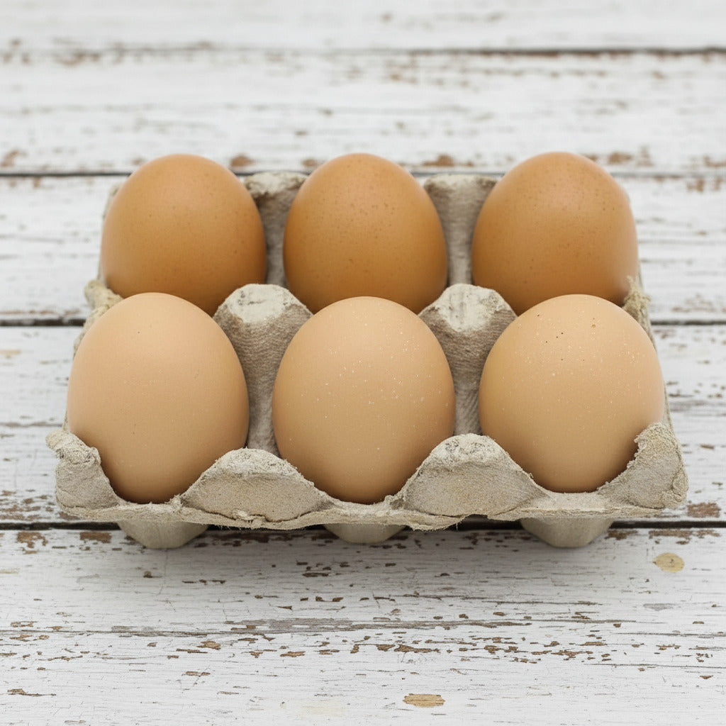 Carton of six brown eggs on a white background