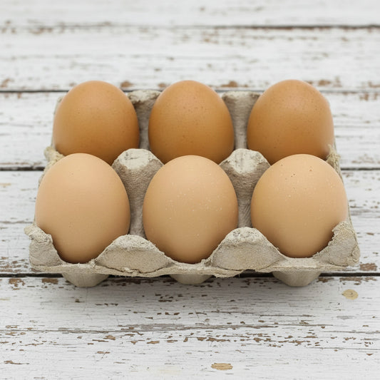 Carton of six brown eggs on a white background