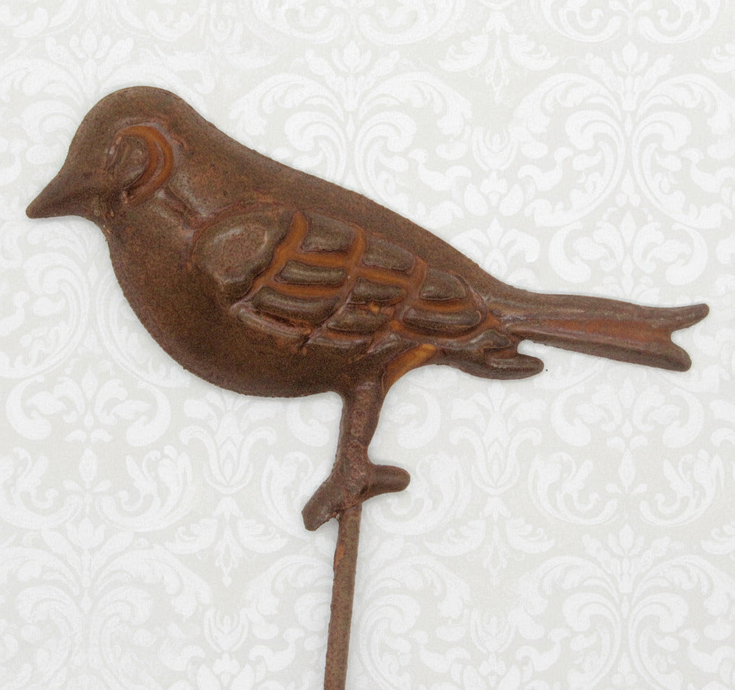 Rusty tin metal bird pick on a white background